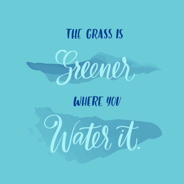 the grass is greener where you water it