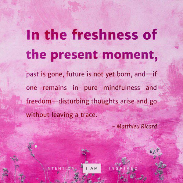 In the freshness of the present moment Matthieu Ricard