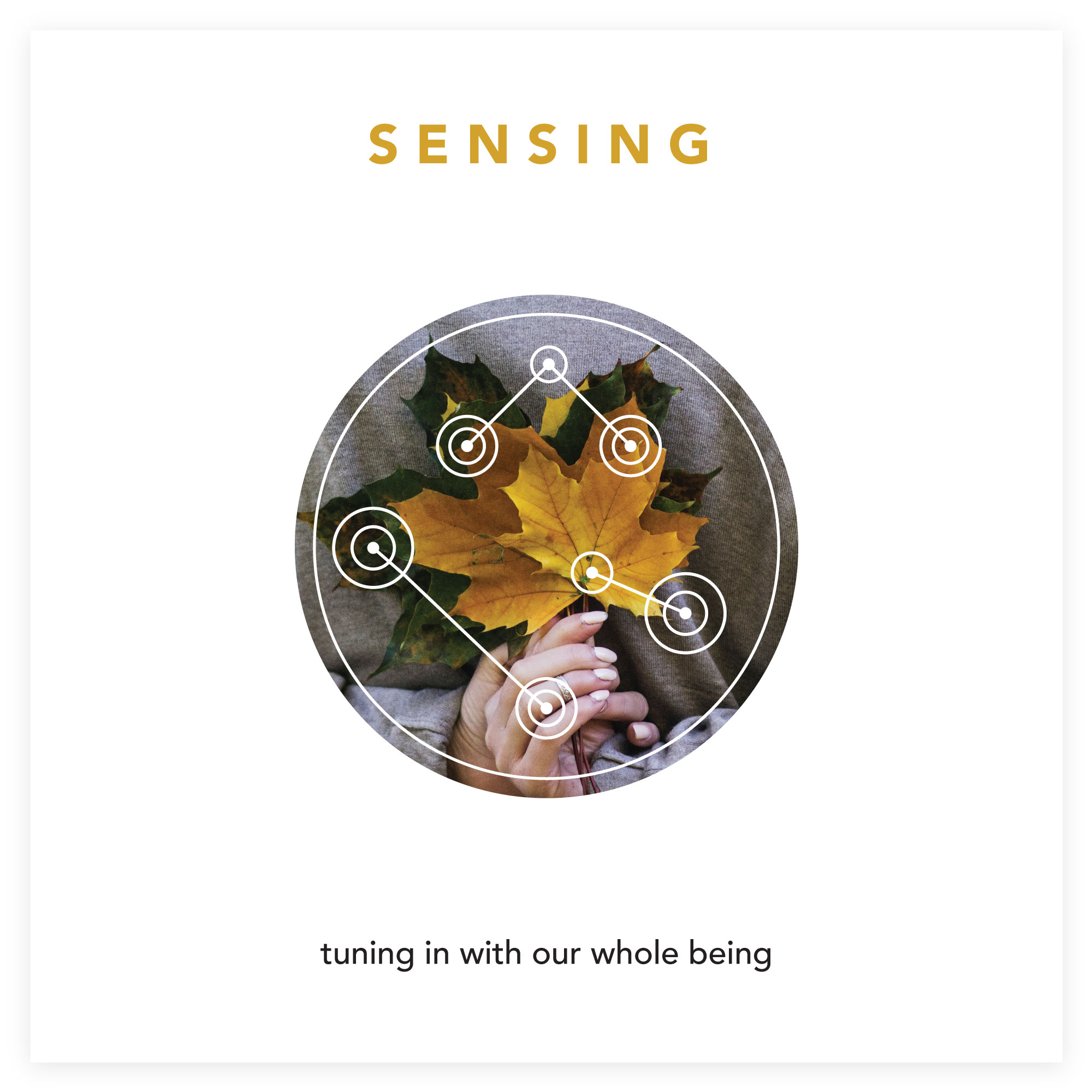 SENSING - tuning in with our whole being