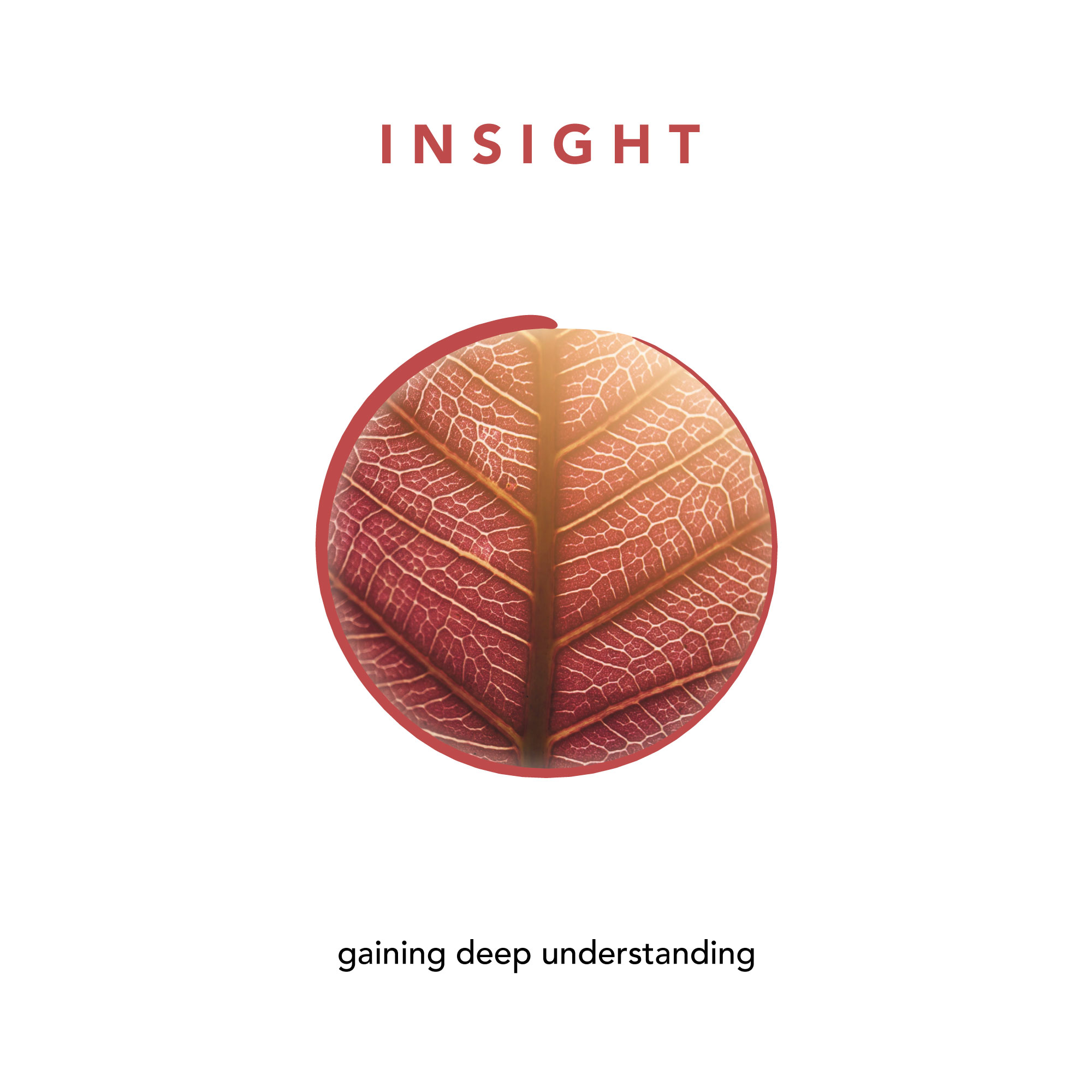 INSIGHT - gaining deep understanding by looking within