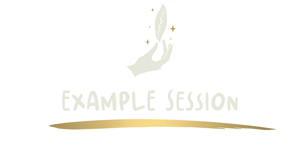 EXAMPLE SESSION